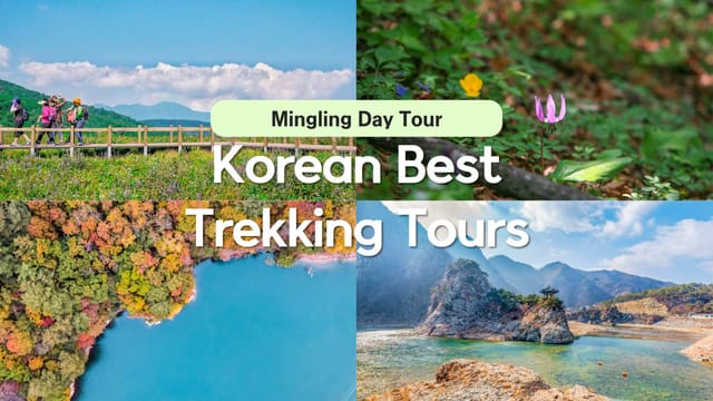 hiking-trekking-mingling-same-day-best-trekking-tour-for-koreans-and-foreigners-from-seoul_1